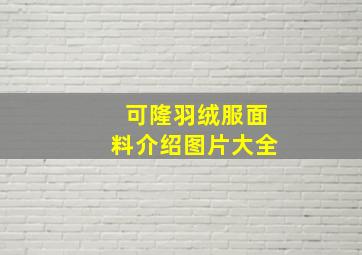 可隆羽绒服面料介绍图片大全