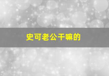 史可老公干嘛的