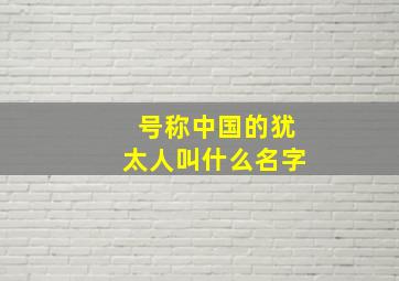 号称中国的犹太人叫什么名字