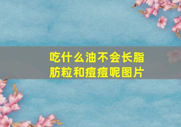 吃什么油不会长脂肪粒和痘痘呢图片