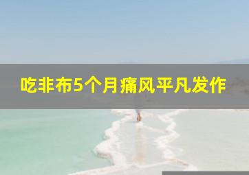 吃非布5个月痛风平凡发作