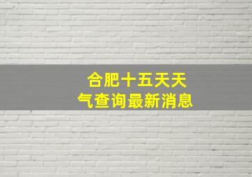 合肥十五天天气查询最新消息