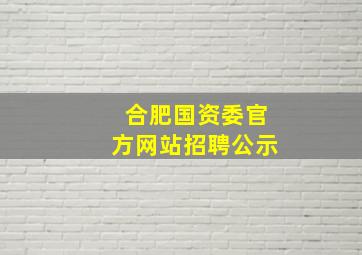 合肥国资委官方网站招聘公示