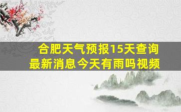 合肥天气预报15天查询最新消息今天有雨吗视频