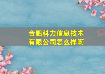 合肥科力信息技术有限公司怎么样啊