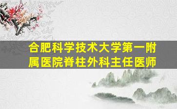 合肥科学技术大学第一附属医院脊柱外科主任医师