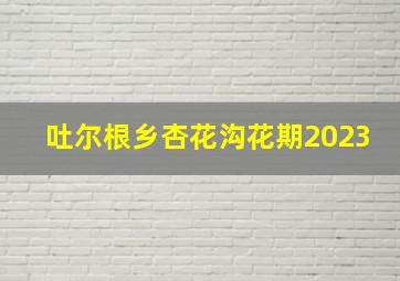 吐尔根乡杏花沟花期2023