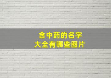 含中药的名字大全有哪些图片