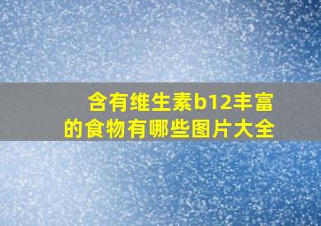 含有维生素b12丰富的食物有哪些图片大全