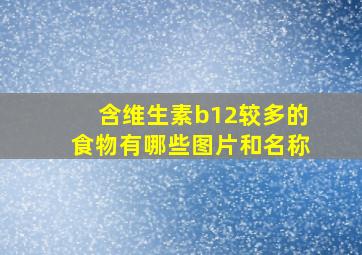 含维生素b12较多的食物有哪些图片和名称