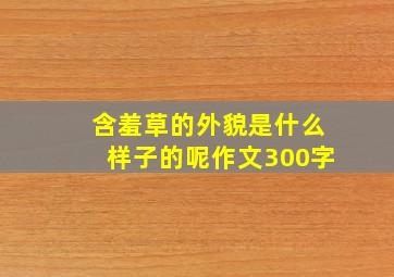 含羞草的外貌是什么样子的呢作文300字