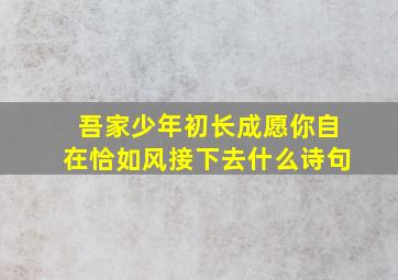 吾家少年初长成愿你自在恰如风接下去什么诗句