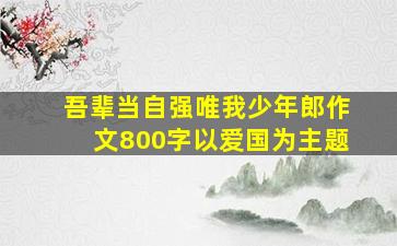 吾辈当自强唯我少年郎作文800字以爱国为主题