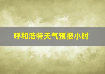 呼和浩特天气预报小时