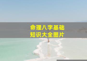 命理八字基础知识大全图片