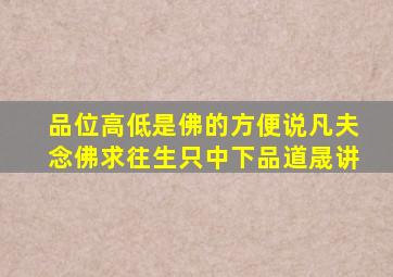 品位高低是佛的方便说凡夫念佛求往生只中下品道晟讲