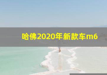 哈佛2020年新款车m6