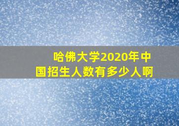 哈佛大学2020年中国招生人数有多少人啊