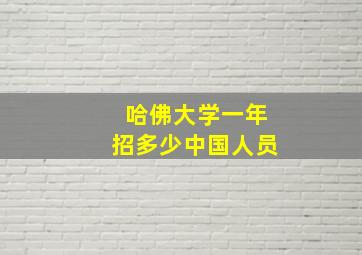 哈佛大学一年招多少中国人员