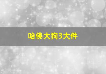 哈佛大狗3大件