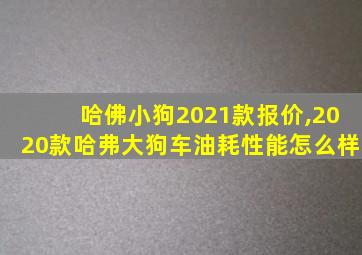 哈佛小狗2021款报价,2020款哈弗大狗车油耗性能怎么样