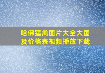 哈佛猛禽图片大全大图及价格表视频播放下载