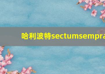 哈利波特sectumsempra