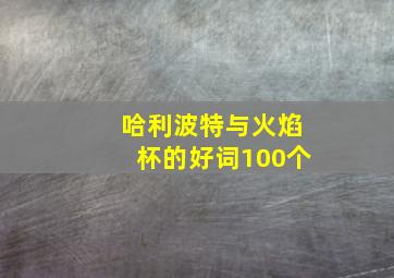 哈利波特与火焰杯的好词100个