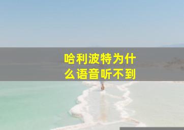 哈利波特为什么语音听不到