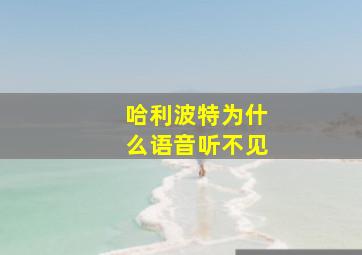 哈利波特为什么语音听不见