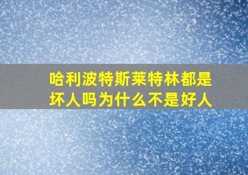 哈利波特斯莱特林都是坏人吗为什么不是好人