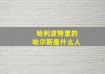 哈利波特里的哈尔斯是什么人