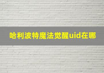 哈利波特魔法觉醒uid在哪