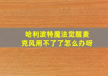 哈利波特魔法觉醒麦克风用不了了怎么办呀