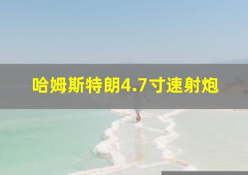 哈姆斯特朗4.7寸速射炮