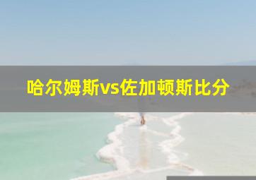 哈尔姆斯vs佐加顿斯比分