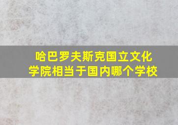 哈巴罗夫斯克国立文化学院相当于国内哪个学校