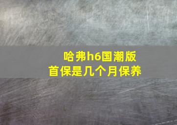 哈弗h6国潮版首保是几个月保养