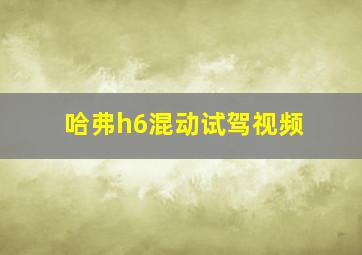 哈弗h6混动试驾视频