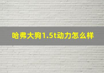 哈弗大狗1.5t动力怎么样