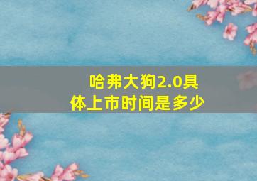 哈弗大狗2.0具体上市时间是多少