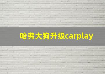 哈弗大狗升级carplay