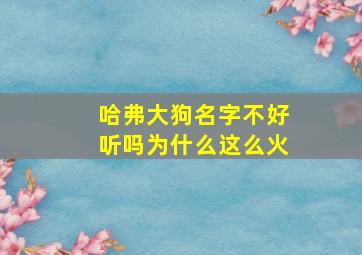 哈弗大狗名字不好听吗为什么这么火