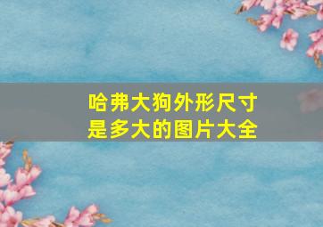 哈弗大狗外形尺寸是多大的图片大全