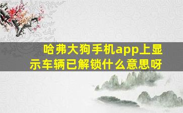 哈弗大狗手机app上显示车辆已解锁什么意思呀