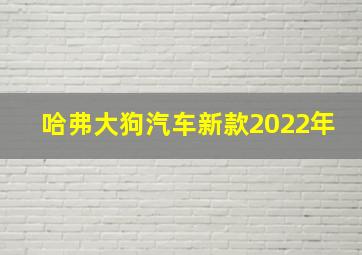 哈弗大狗汽车新款2022年