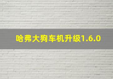 哈弗大狗车机升级1.6.0