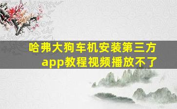 哈弗大狗车机安装第三方app教程视频播放不了