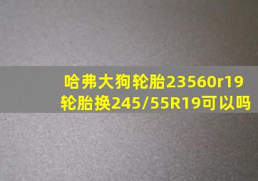 哈弗大狗轮胎23560r19轮胎换245/55R19可以吗