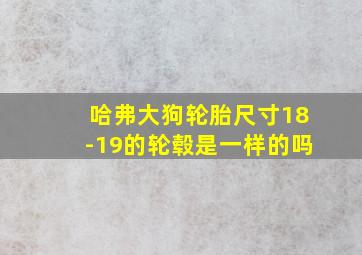 哈弗大狗轮胎尺寸18-19的轮毂是一样的吗